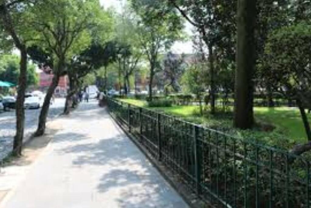 Departamento Completo En El Centro De Cdmx Apartment เม็กซิโกซิตี้ ภายนอก รูปภาพ